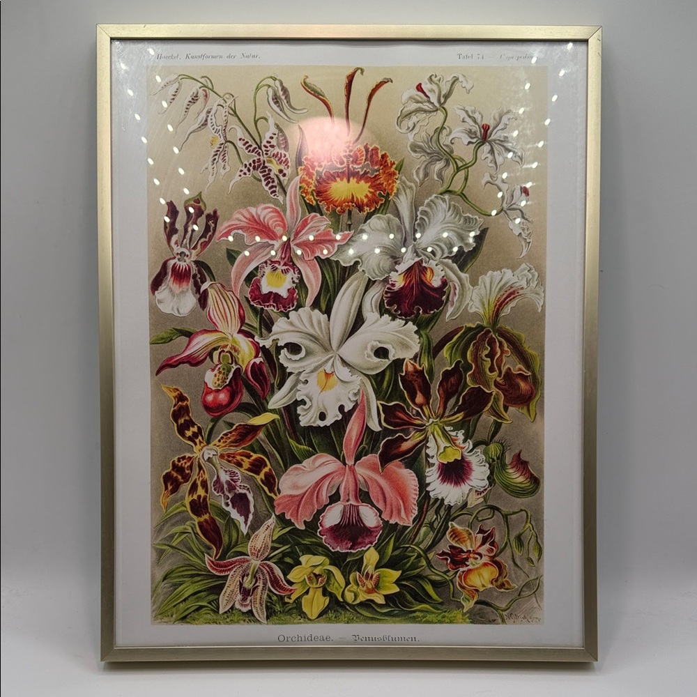 Elegant Floral Art Print with Gold Frame